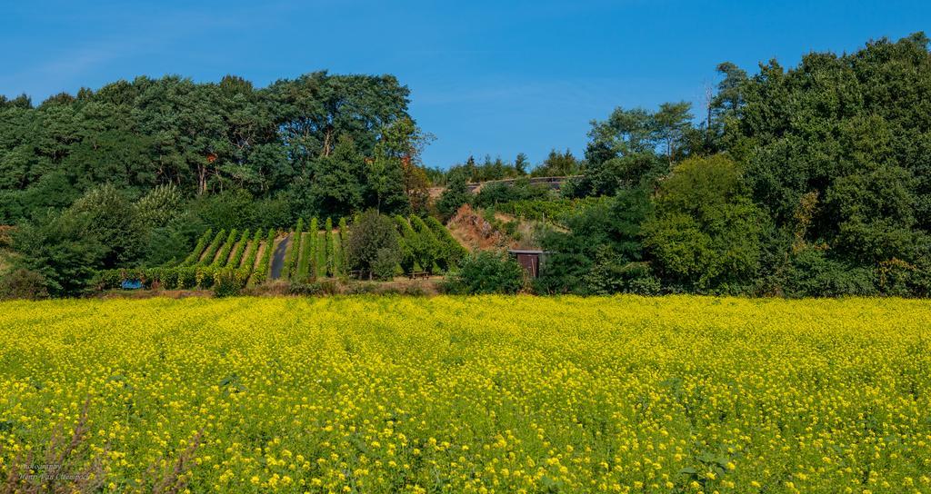 瑟兰提姆住宿加早餐旅馆 Tielt 外观 照片