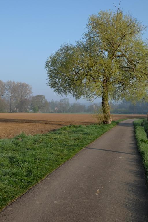 瑟兰提姆住宿加早餐旅馆 Tielt 外观 照片