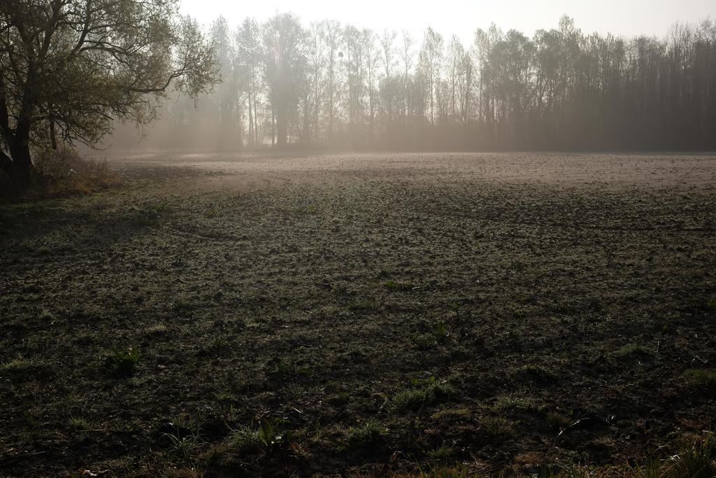 瑟兰提姆住宿加早餐旅馆 Tielt 外观 照片