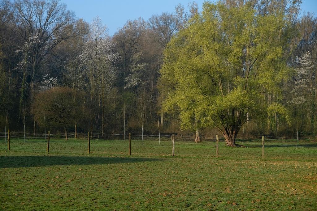 瑟兰提姆住宿加早餐旅馆 Tielt 外观 照片