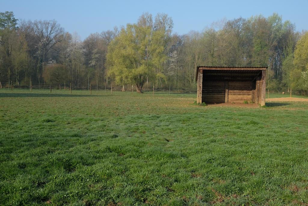 瑟兰提姆住宿加早餐旅馆 Tielt 外观 照片